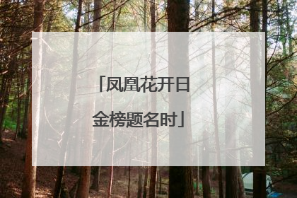凤凰花开日 金榜题名时